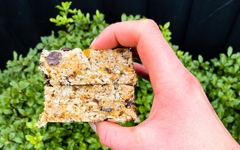 Protein Bar Recipes